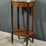 Mahogany Coffee Table, Louis XVI Style – Early 20th Century