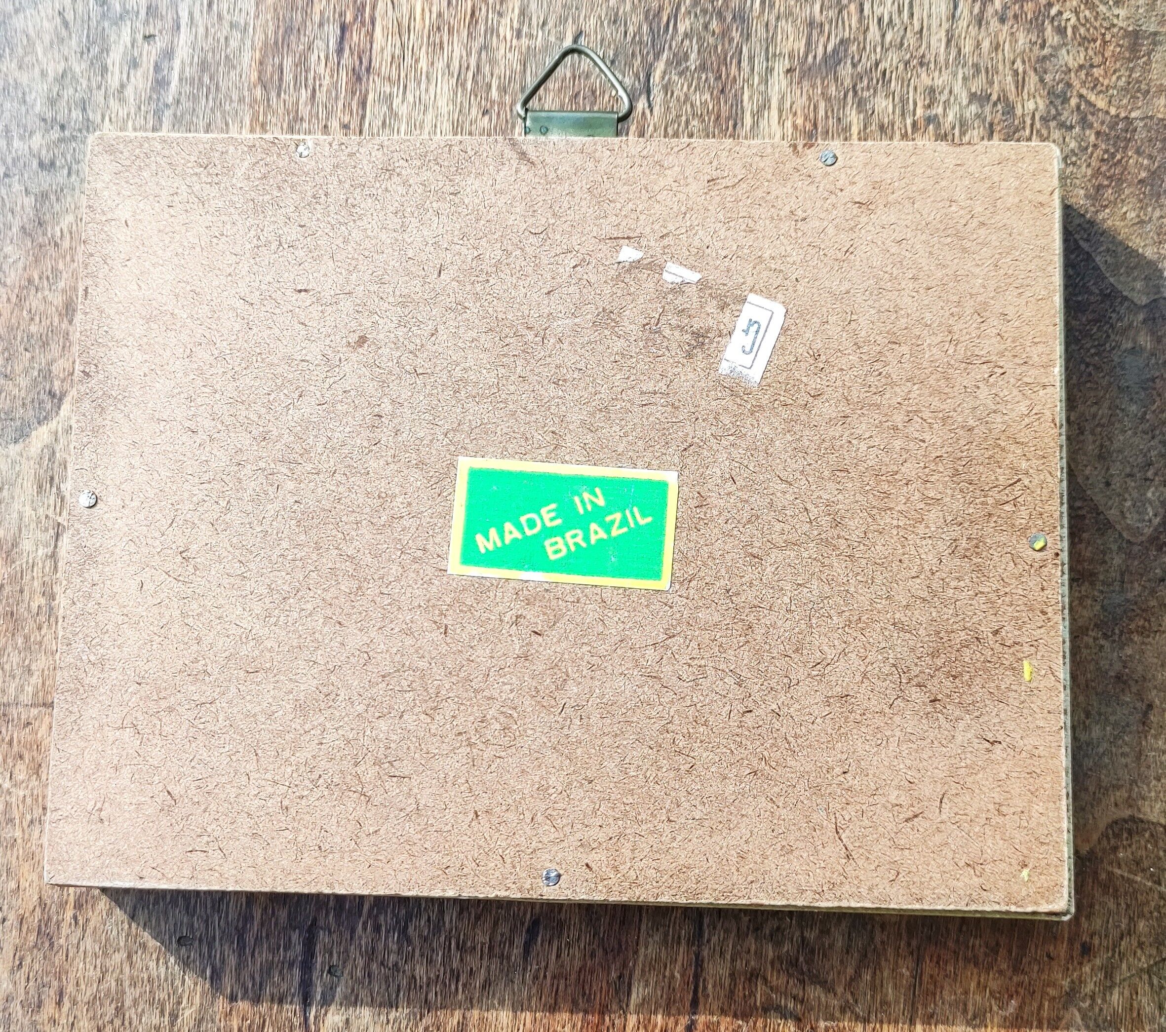 Curved frame of morpho butterfly from Brazil