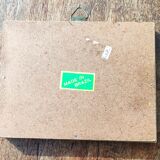 Curved frame of morpho butterfly from Brazil