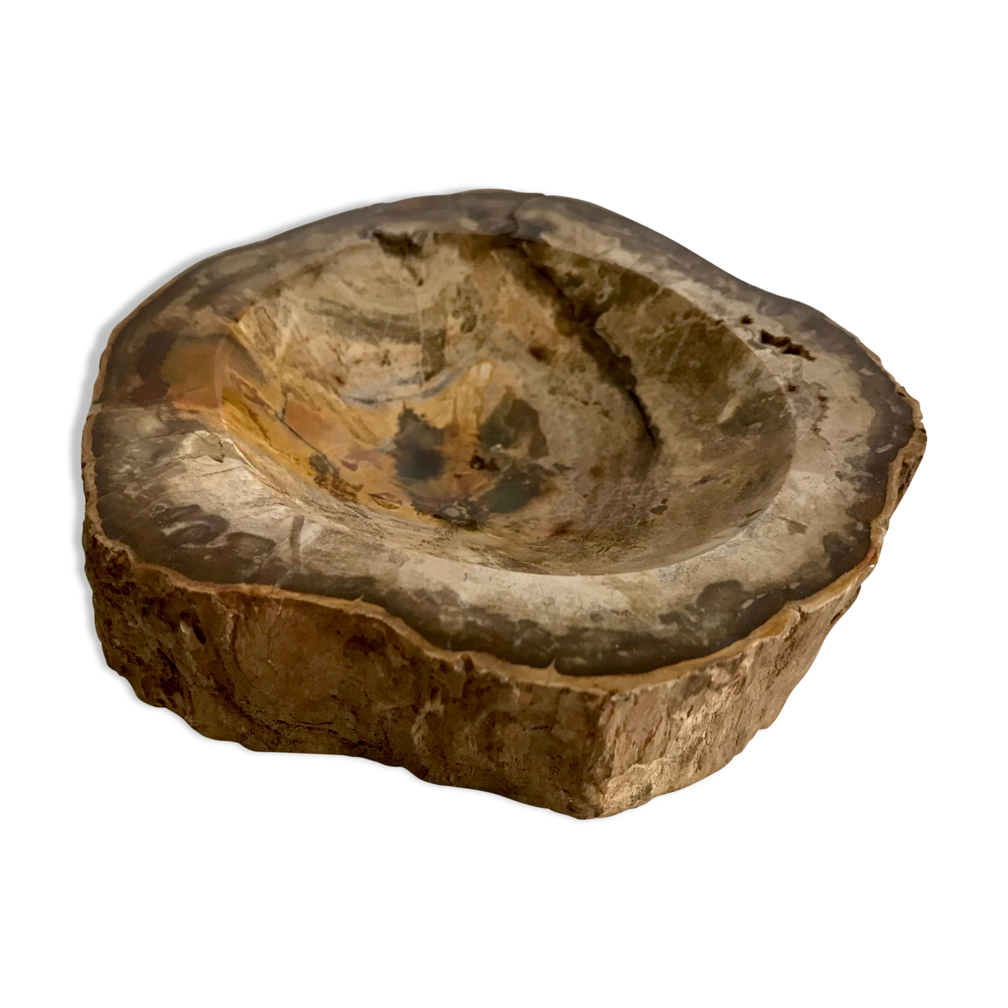 Petrified wooden ashtray