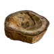 Petrified wooden ashtray
