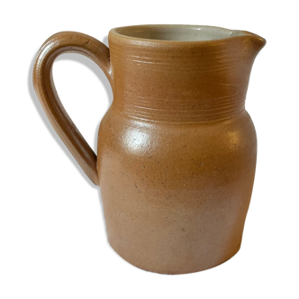 Pitcher in Berry sandstone