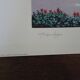 Giorgio Zuppini, Terrace by the Sea with Seagulls, Lithograph, 1970