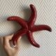 ceramic starfish