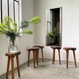 Set of 5 olive tree tripod stools from the 50s