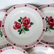6 flat plates of Digoin Sarreguemines model Saverne