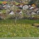 Eliane lienard (xxth century) pastel "landscape of rantechaux in the doubs" signed lower right