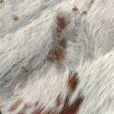 Vintage cowhide rug