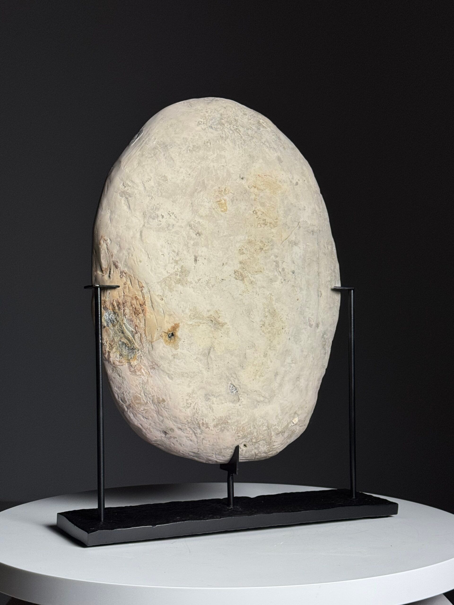Septaria on custom stand