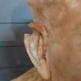 Bust ancient man