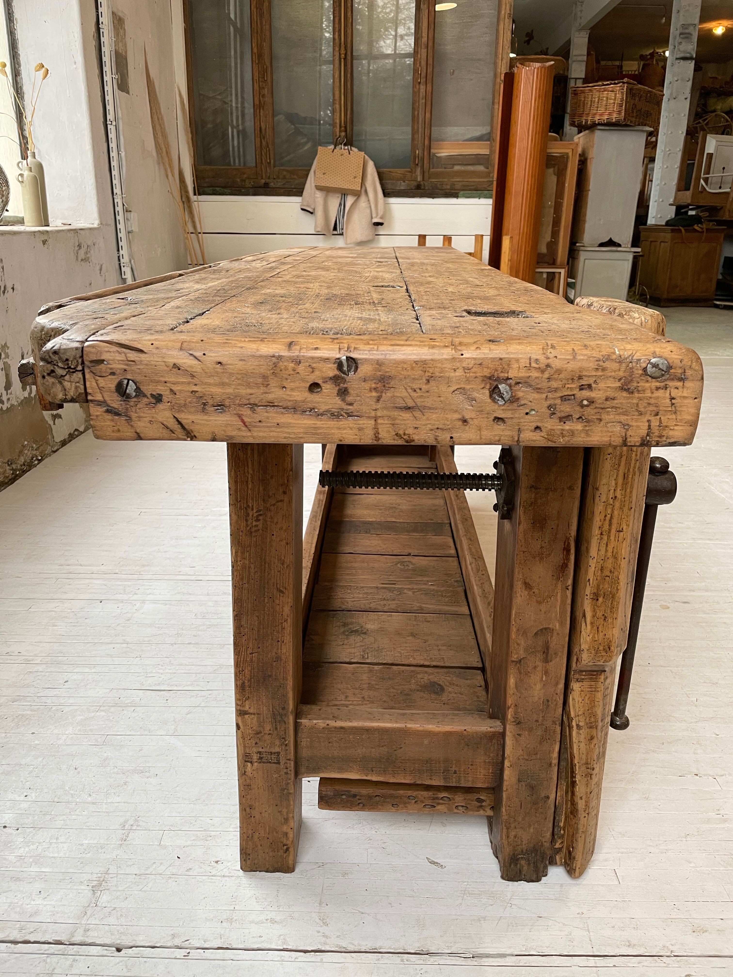 Established old oak XL