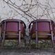 Wooden office chairs, 1950s, set of 2