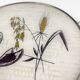Round service tray in glass and metal vegetal decoration 1950