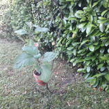 Plant holder h135cm vintage twisted iron
