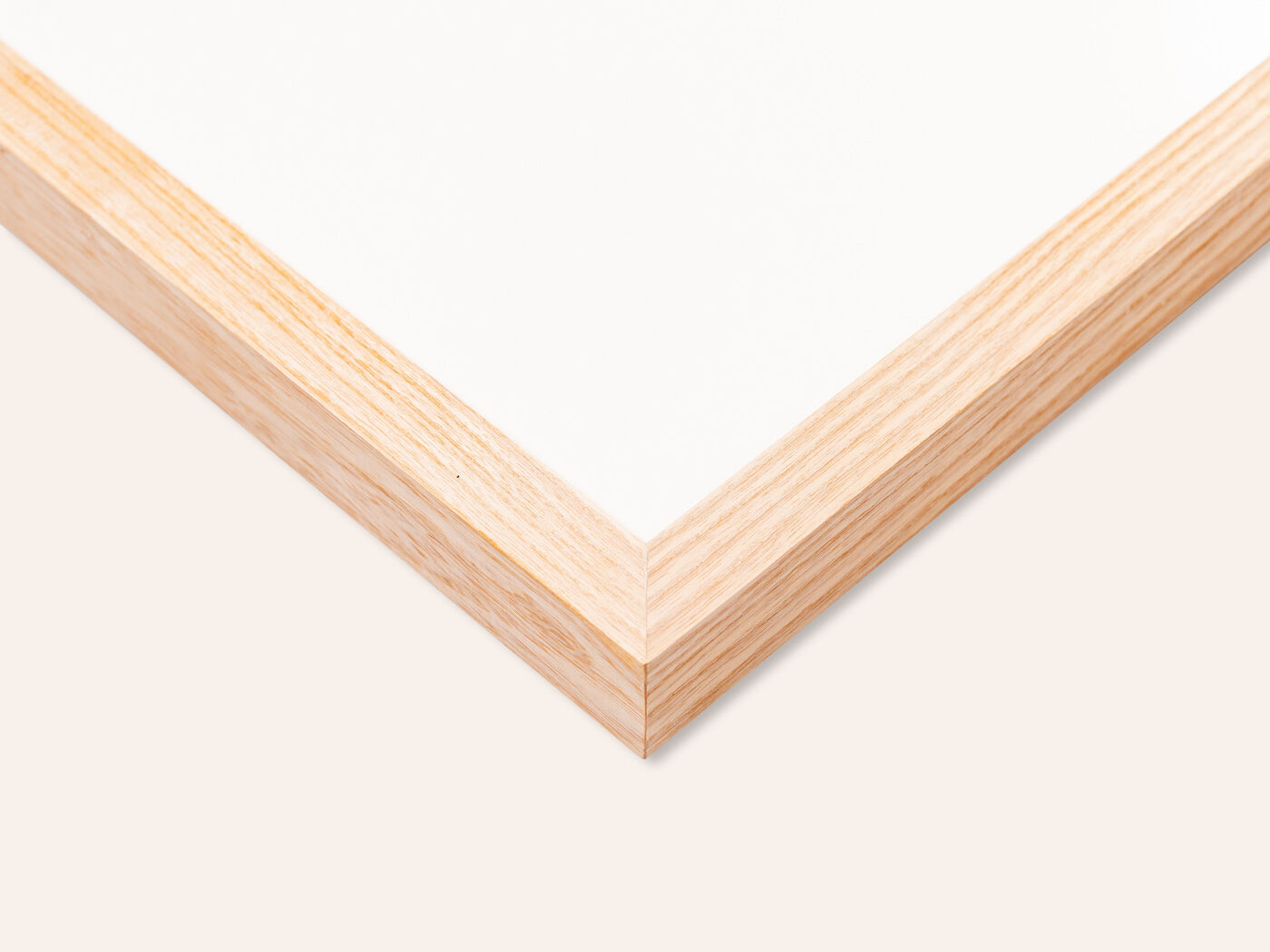 Botanical Drawings from the 18th Century, Colored Copperplate, 83 x 113 cm