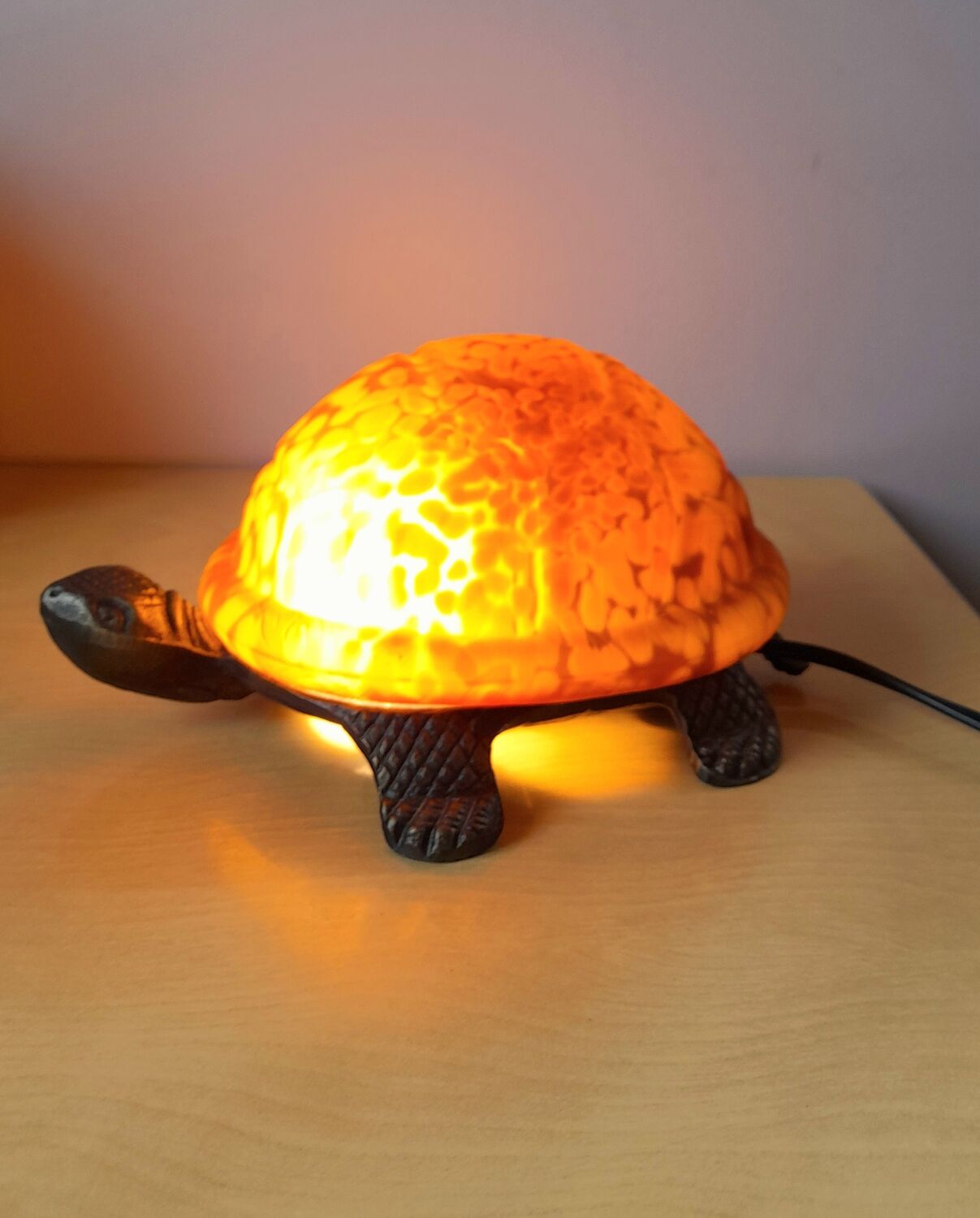 Turtle lamp