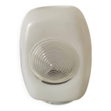 White opaline tulip