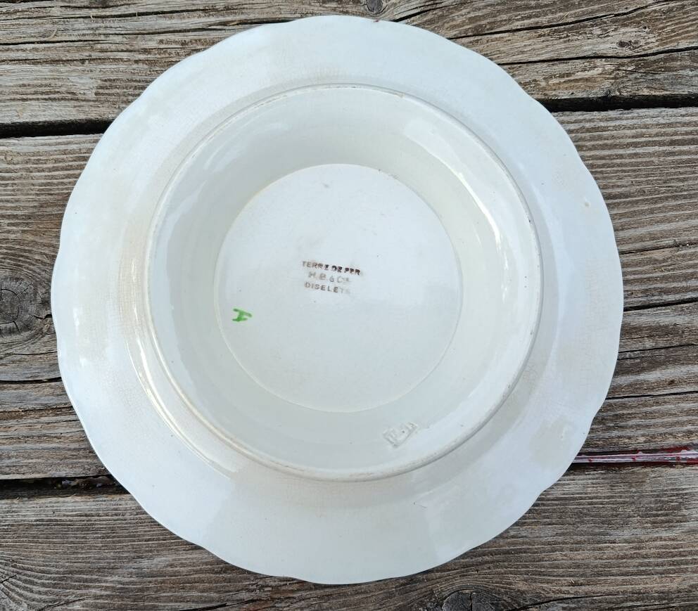 MOUNTED PLATE EARTH OF IRON OISELETS CHOISY LE ROI