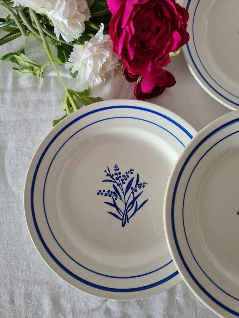 Set of 6 old flat plates Gien