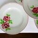 5 assiettes plates modèle Rose Mai