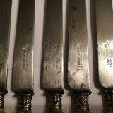 Set of 10 blade knives in steel cheese and dessert