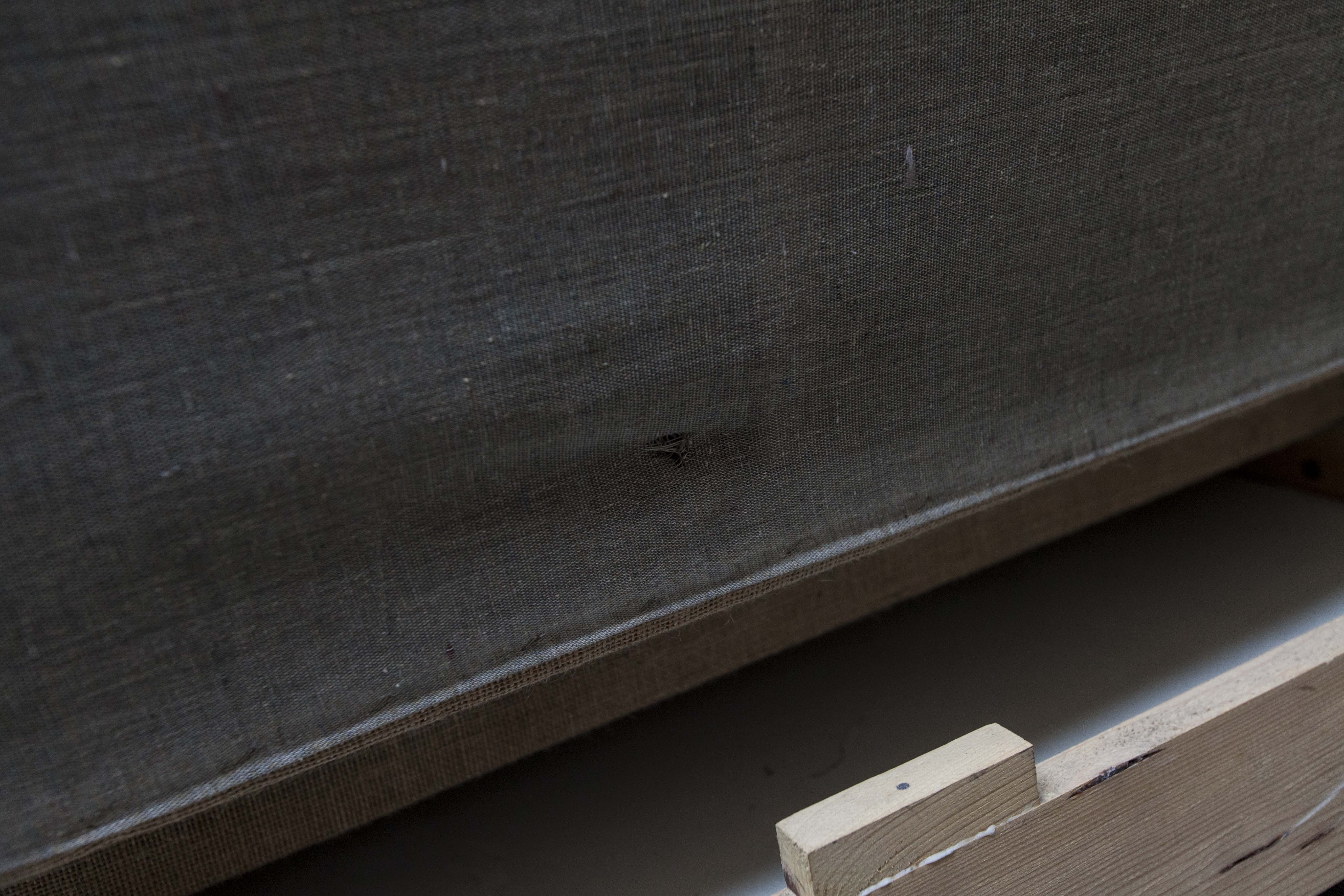 Sofa daybed 3 scandinavian blue