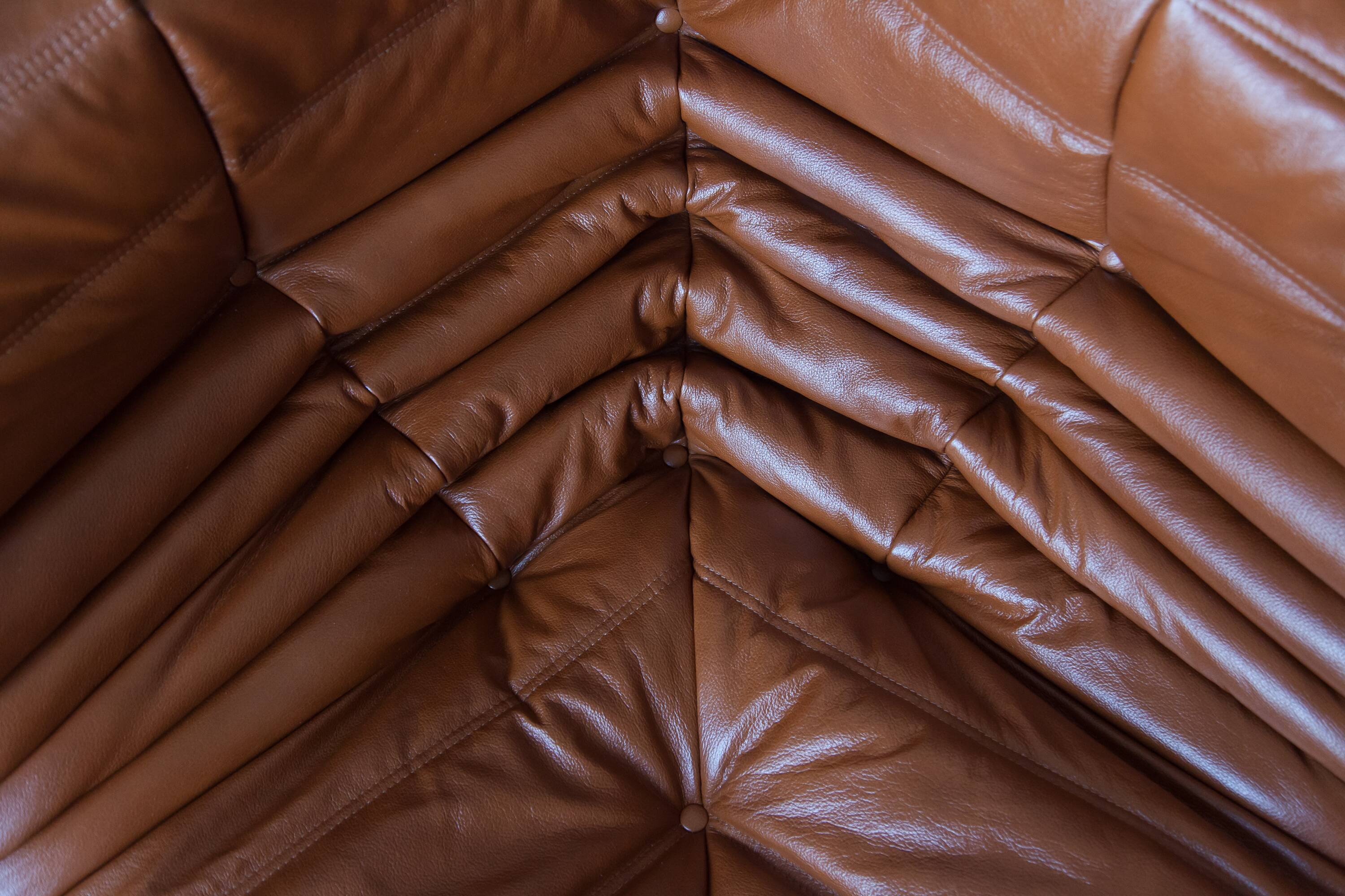 Togo sofa set model designed by Michel Ducaroy 1973