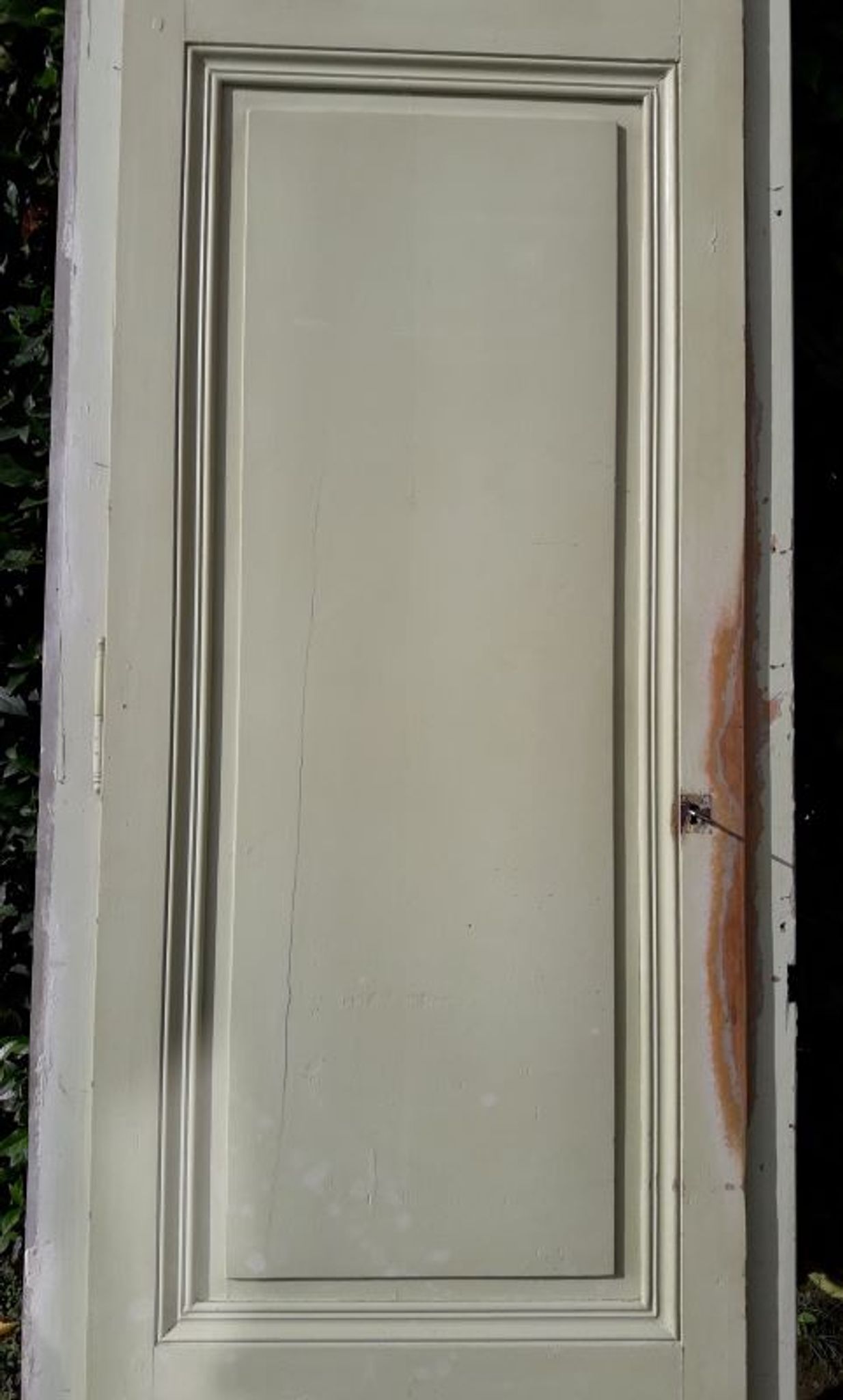 Porte 67.2x237.2cm de placard et son cadre
