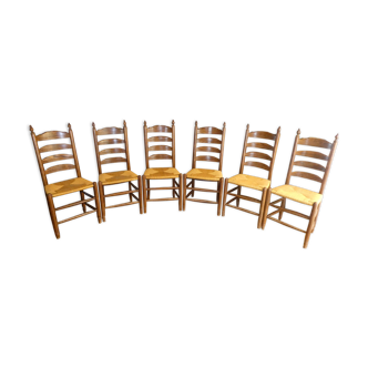 Chaises en chêne paillées