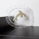 Vintage Murano glass serving platter with dolphin decoration, Italy, 1980s.
