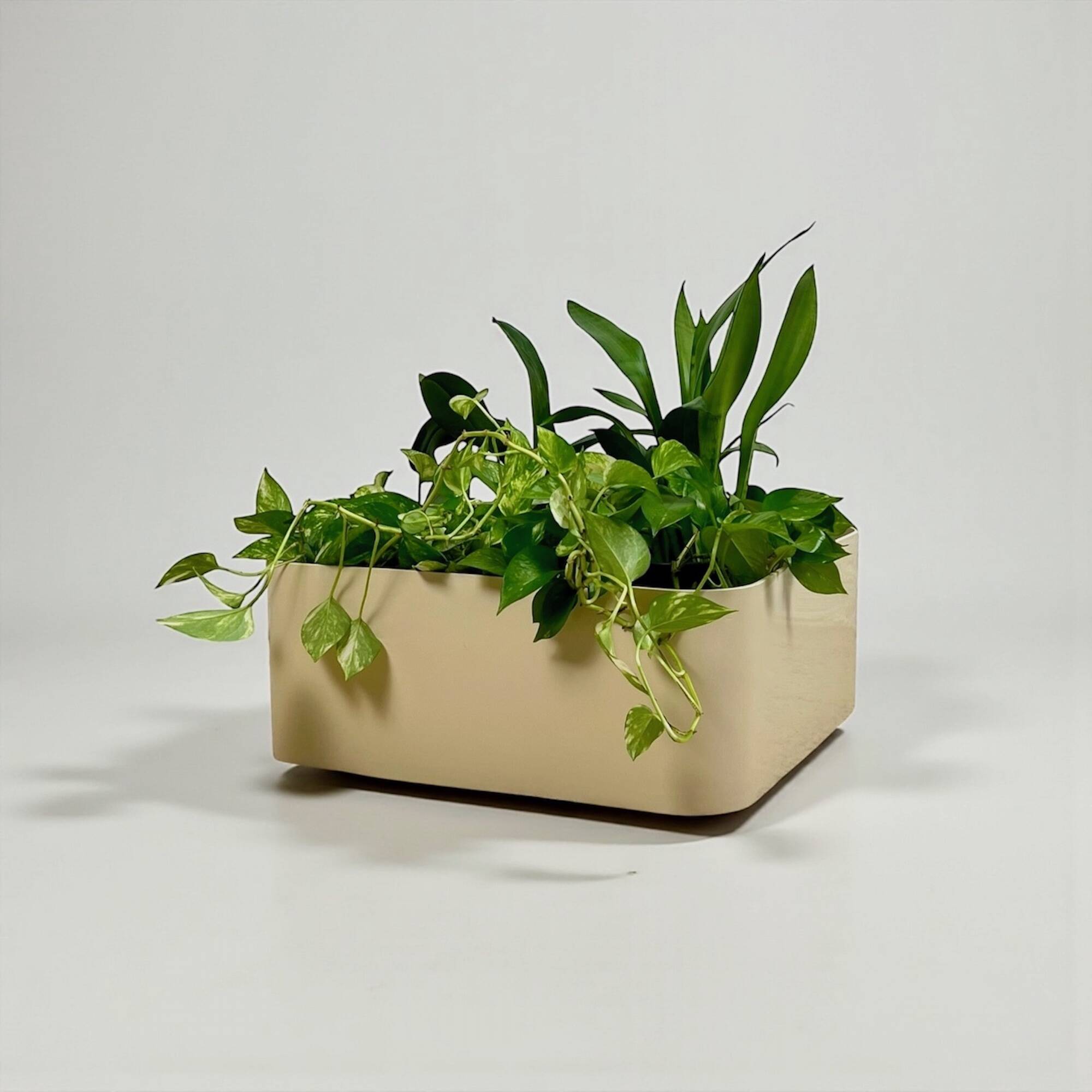 Vintage Kartell Planter 1960s by Anna Castelli Ferrieri
