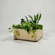 Jardinière Kartell vintage 1960 par Anna Castelli Ferrieri