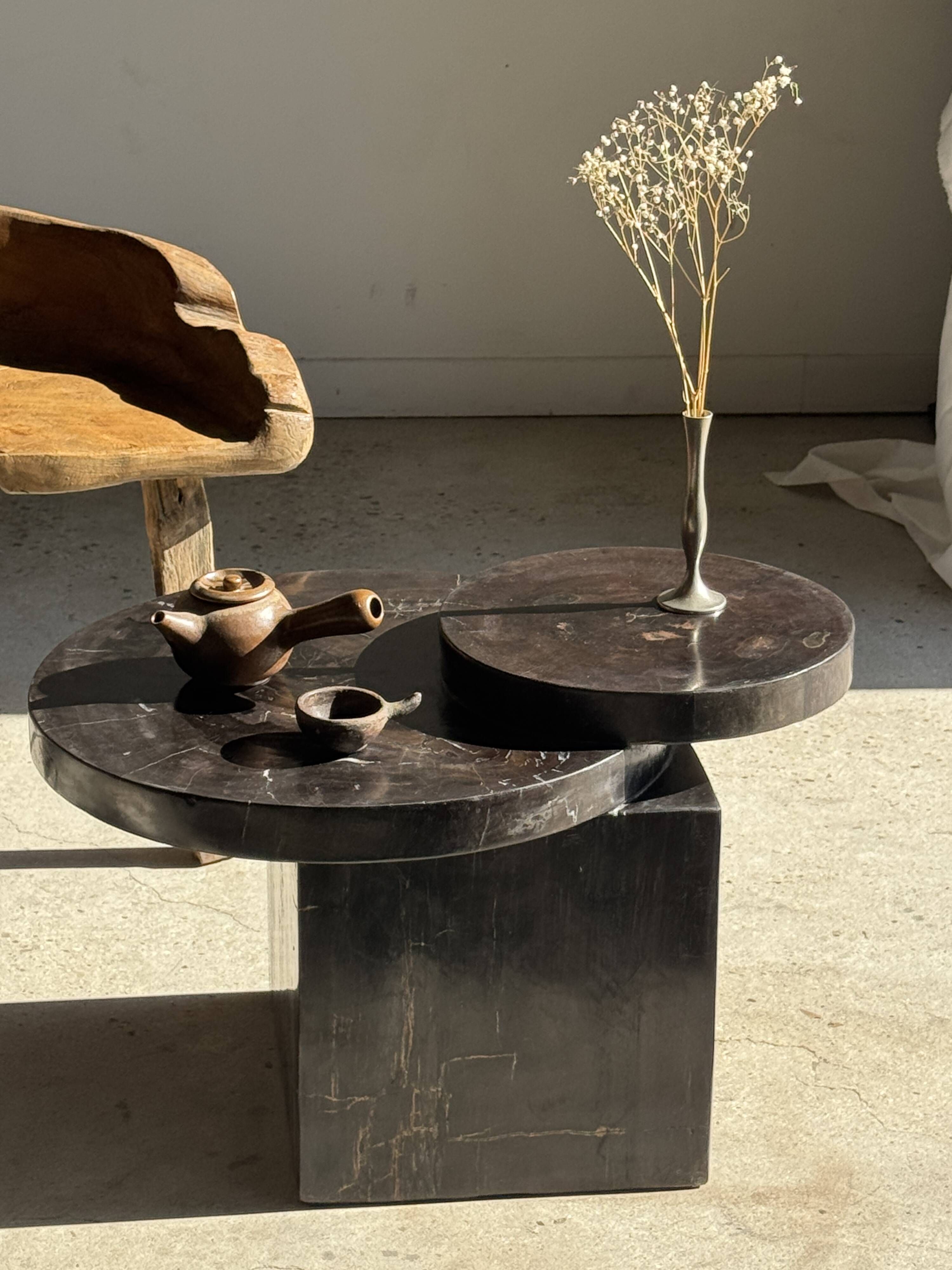 Brown petrified wood coffee table from Indonesia with a double circular top.
