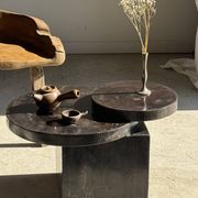 Brown petrified wood coffee table from Indonesia with a double circular top.