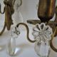Pair of wall lamps patinated gilded bronze and early twentieth century glass grapevines