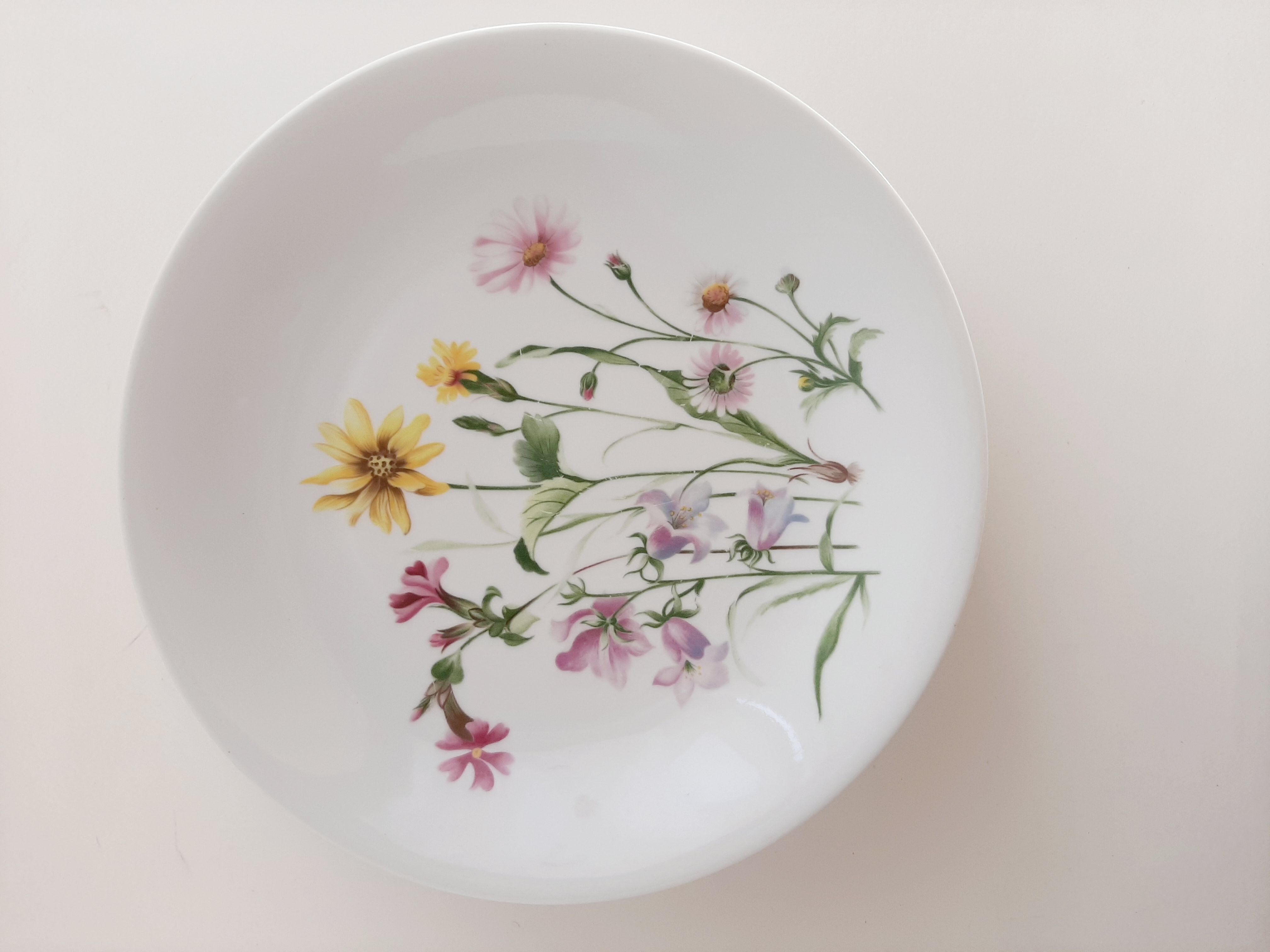 Chauvigny porcelain plates