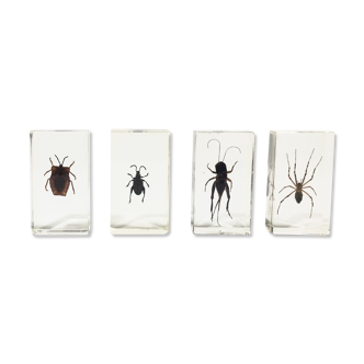 4 insects under inclusion batch resin