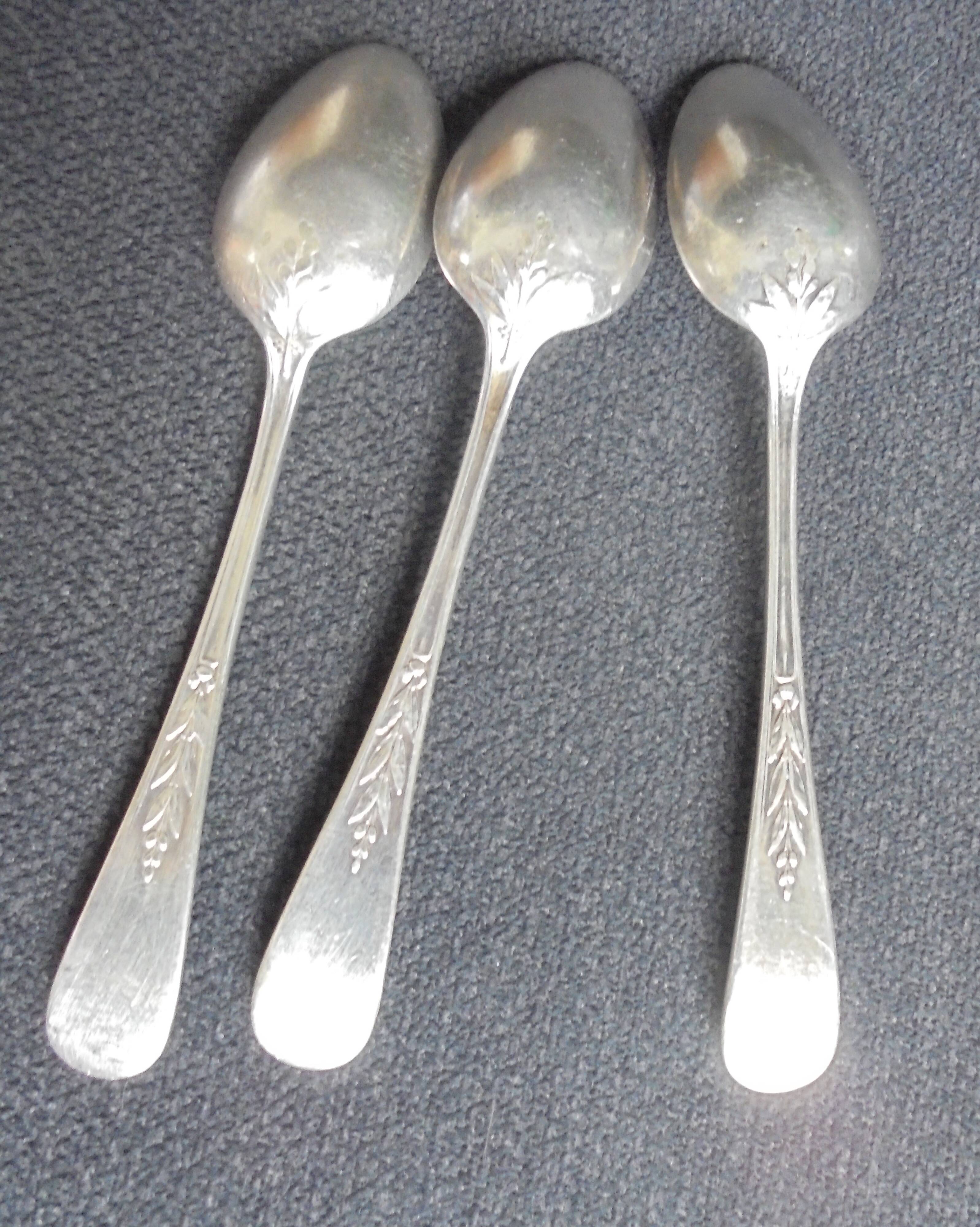 Coffee Spoon Christofle Canals laurel