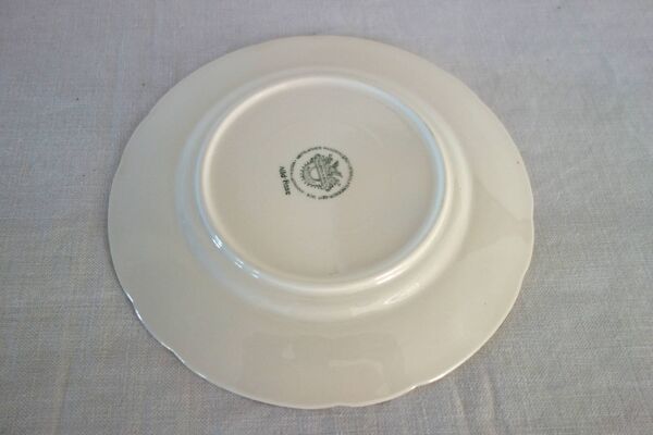 6 assiettes plates Villeroy & Boch ''Wild rose'', 1970