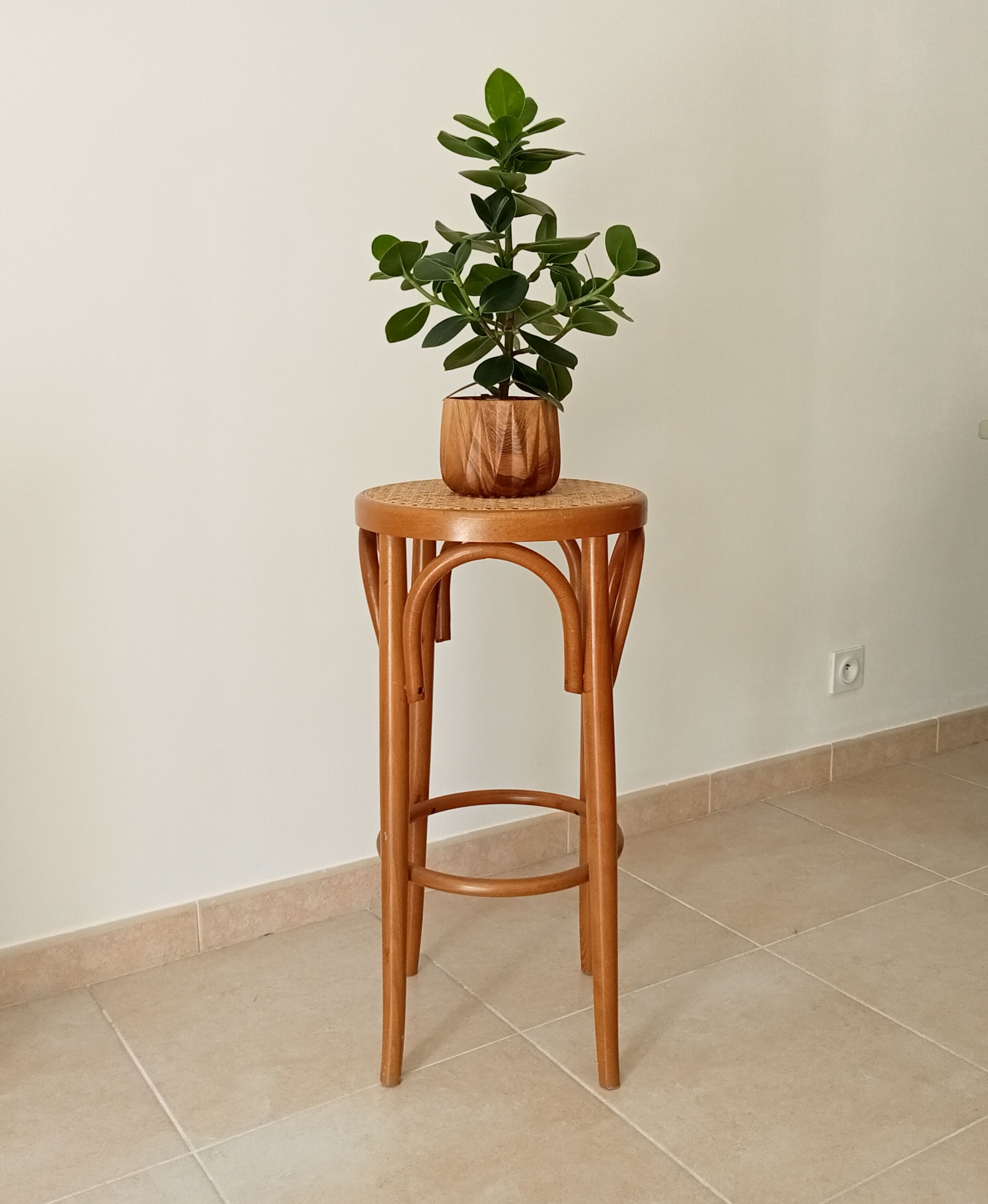 Vintage curved wooden high stool and tanned seat