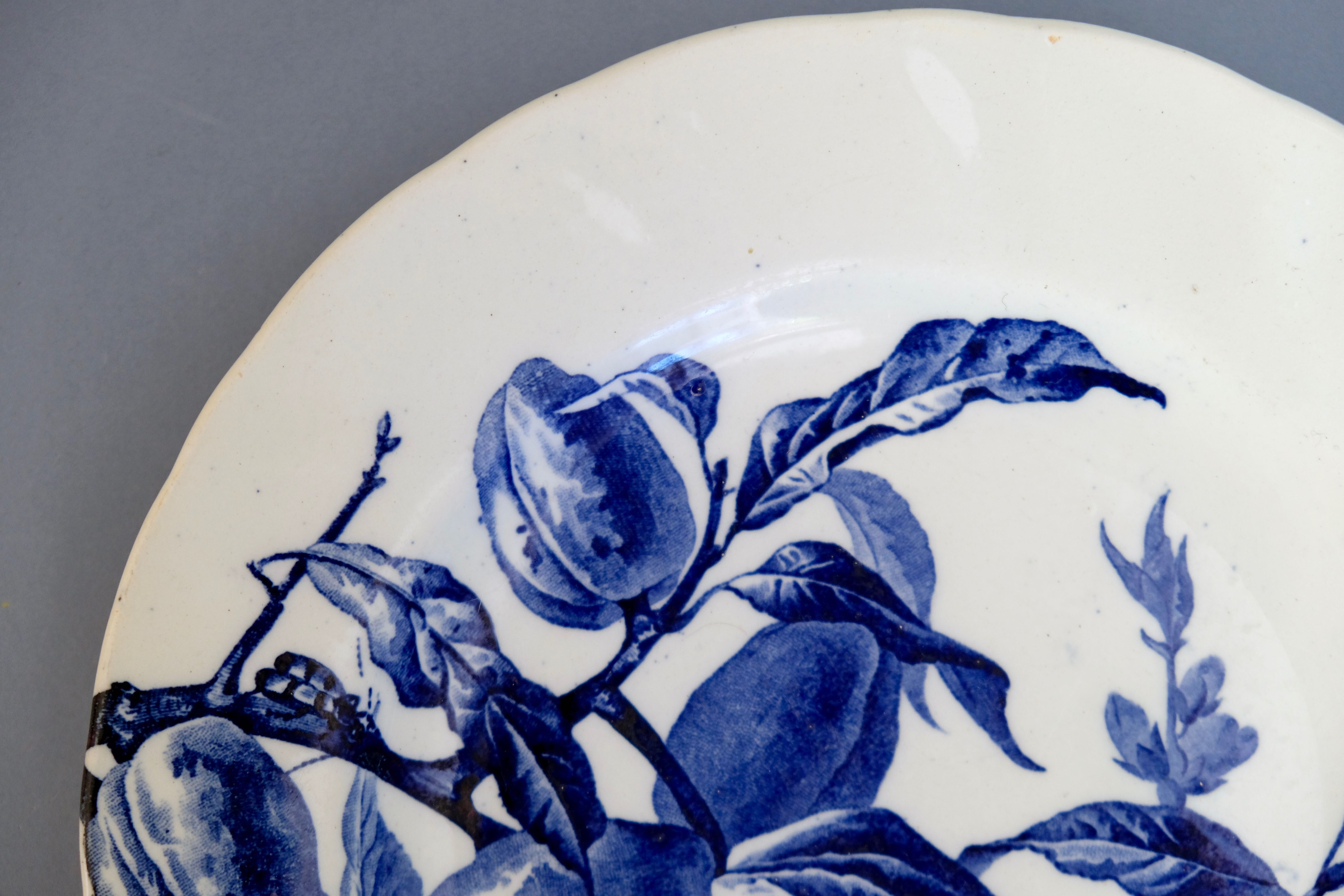 Plum plate in earthenware from Creil Montereau B. Former MC Co.