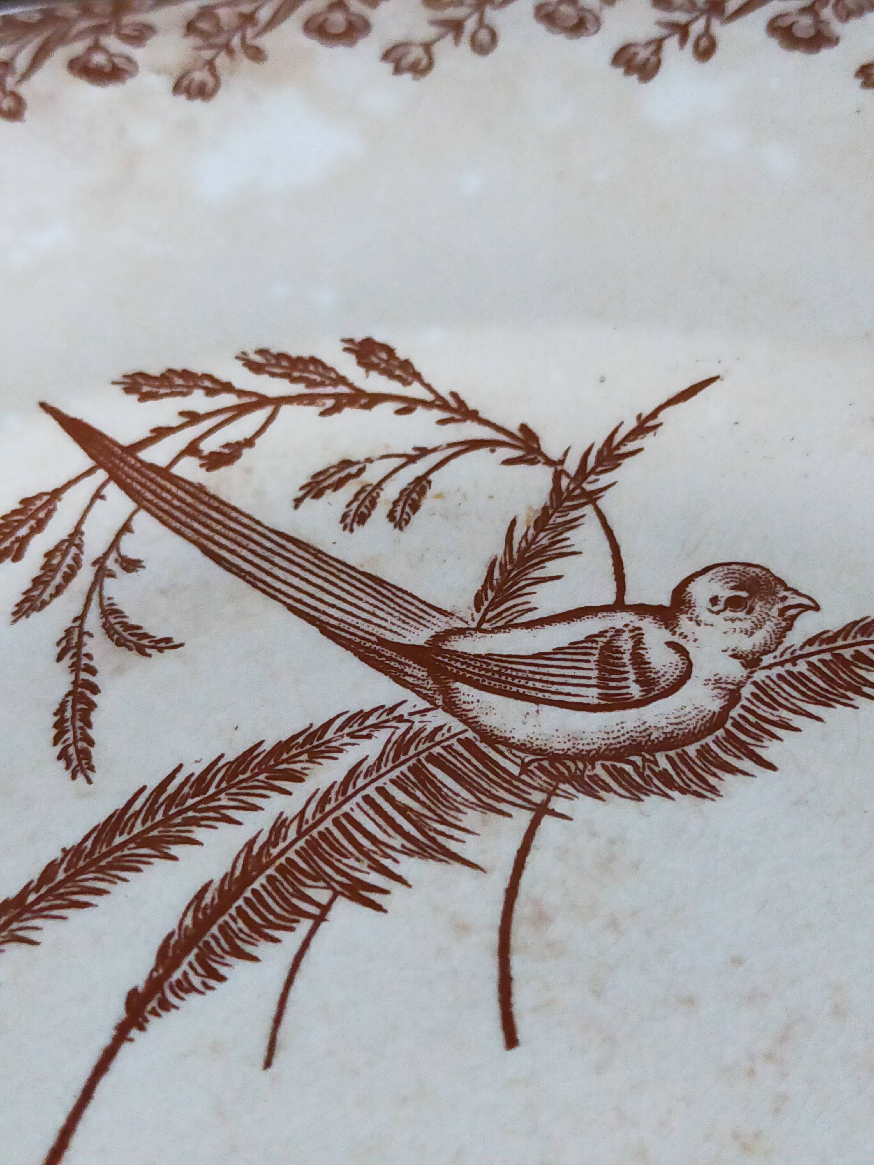 Seven iron earth dessert plates with birds ffPexonne late 19th century