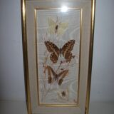 Butterfly stuffed under frame