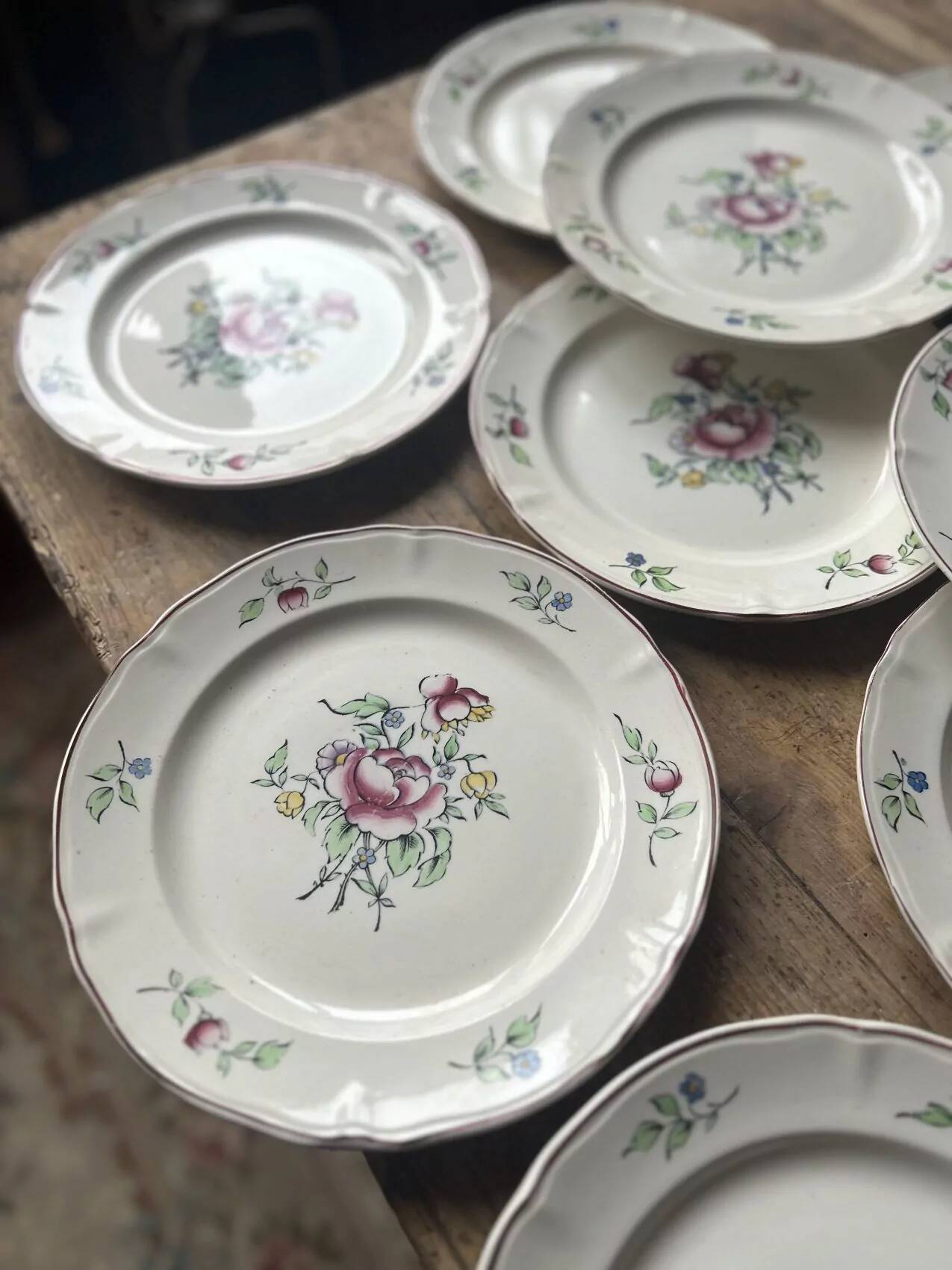 Set of 10 flat plates Villeroy & Boch – bucolic design – 24.5 cm