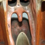 Anatomical model of human face, 30