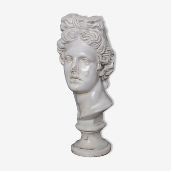 Bust Apollo in waxed plaster