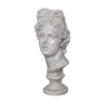 Bust Apollo in waxed plaster