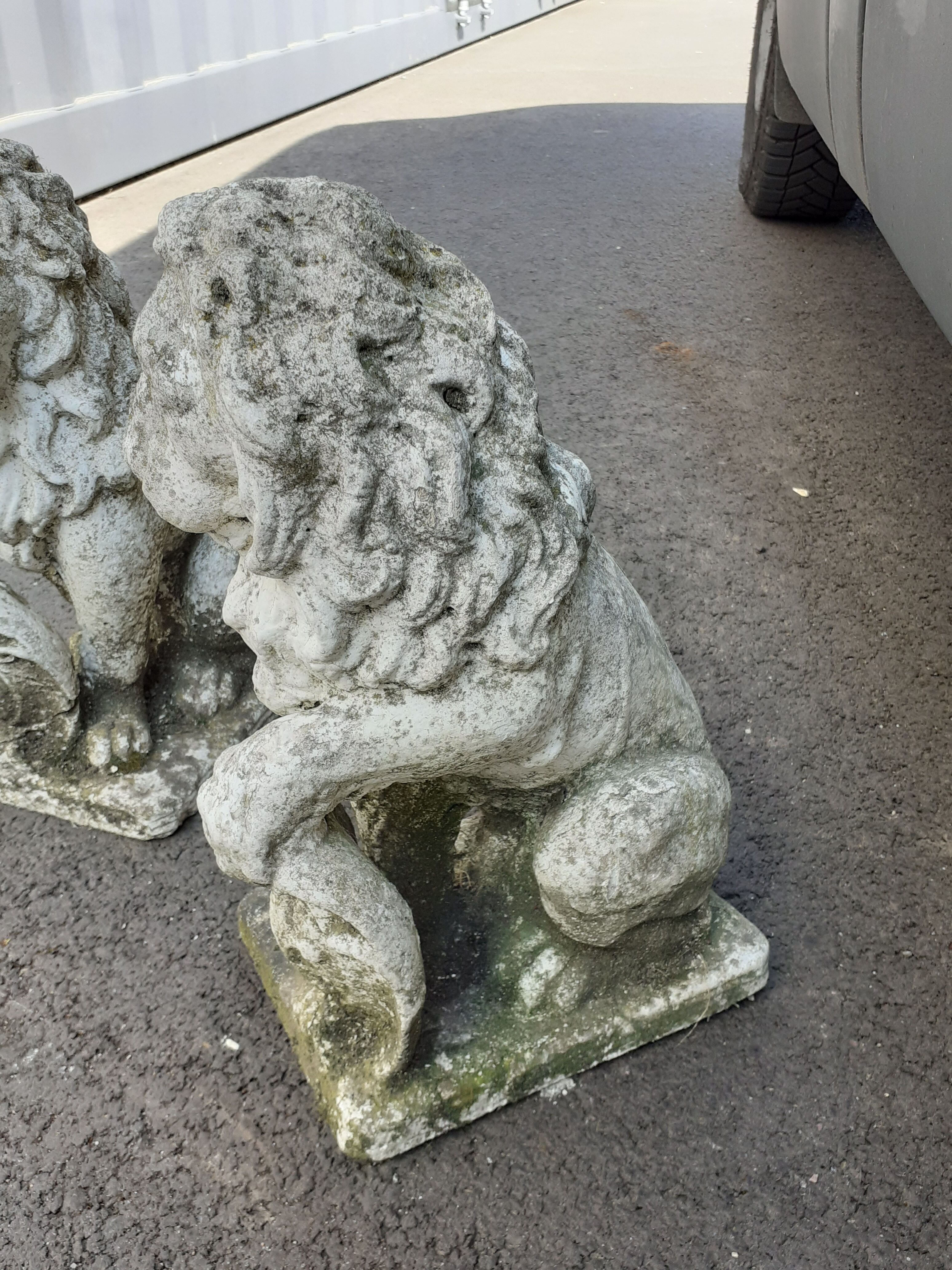 Vintage stone garden lions xxeme