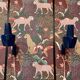 Pair of Scandinavian design wall lights from the 1950s.