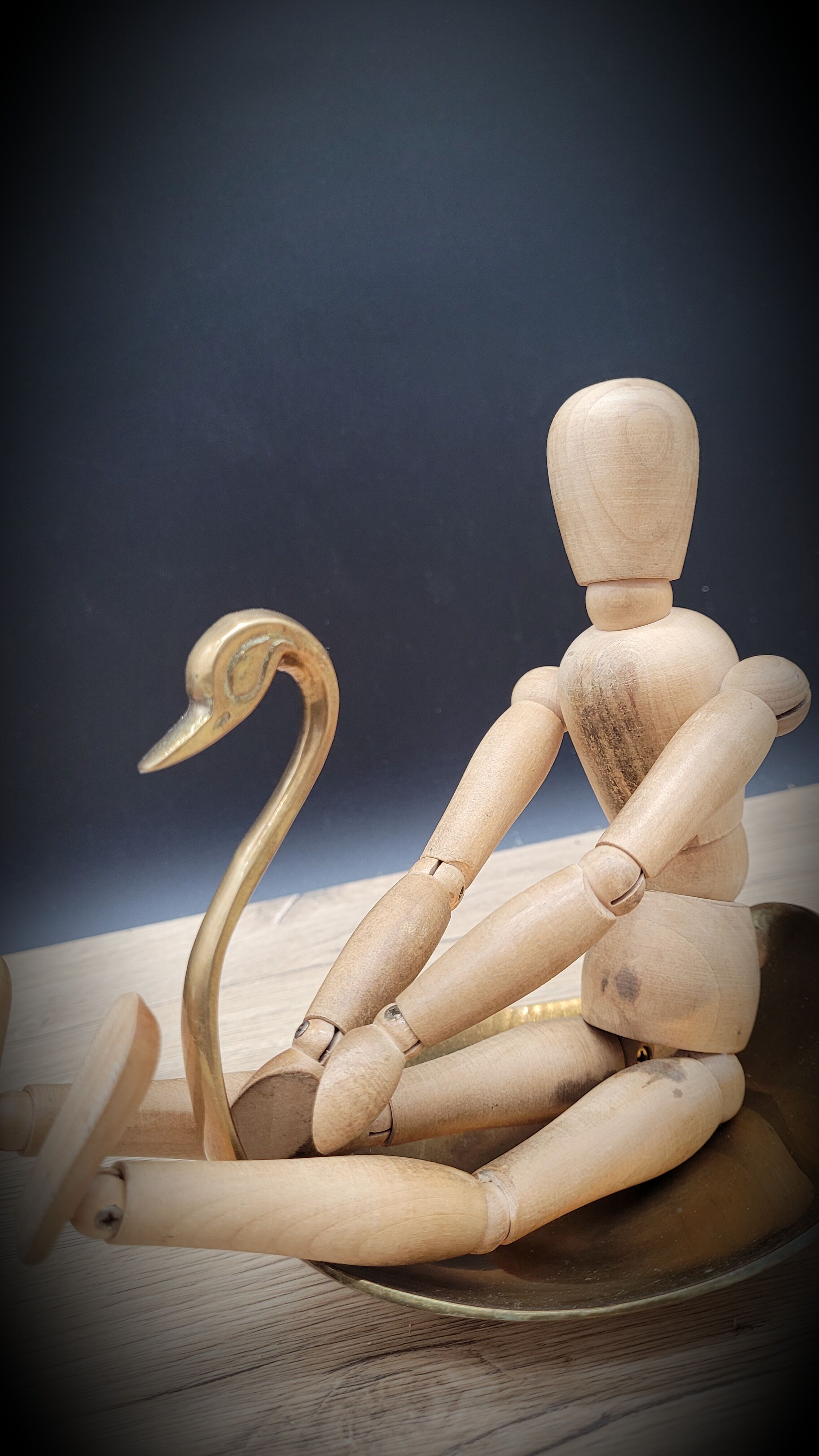 Empty swan brass pocket